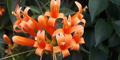 Качественная печать фотографий с гарантией результата