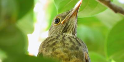 Быстрая печать фотографий для вас