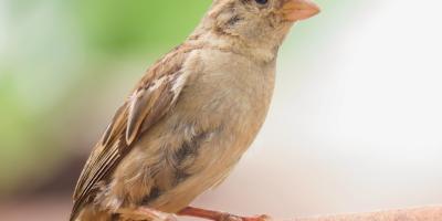 Быстрая печать фотографий для вас